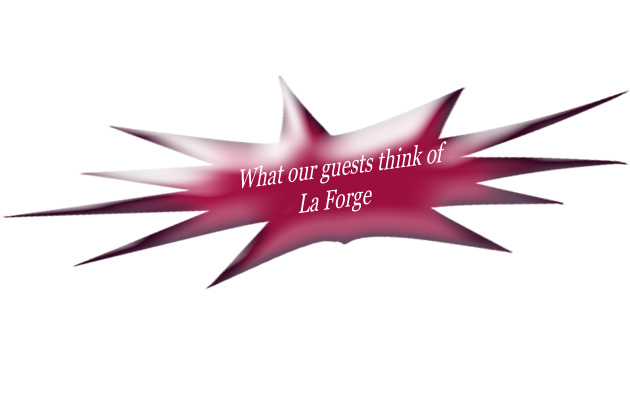 LA FORGE TESTIMONIALS BUTTON1