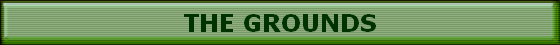 THE GROUNDS