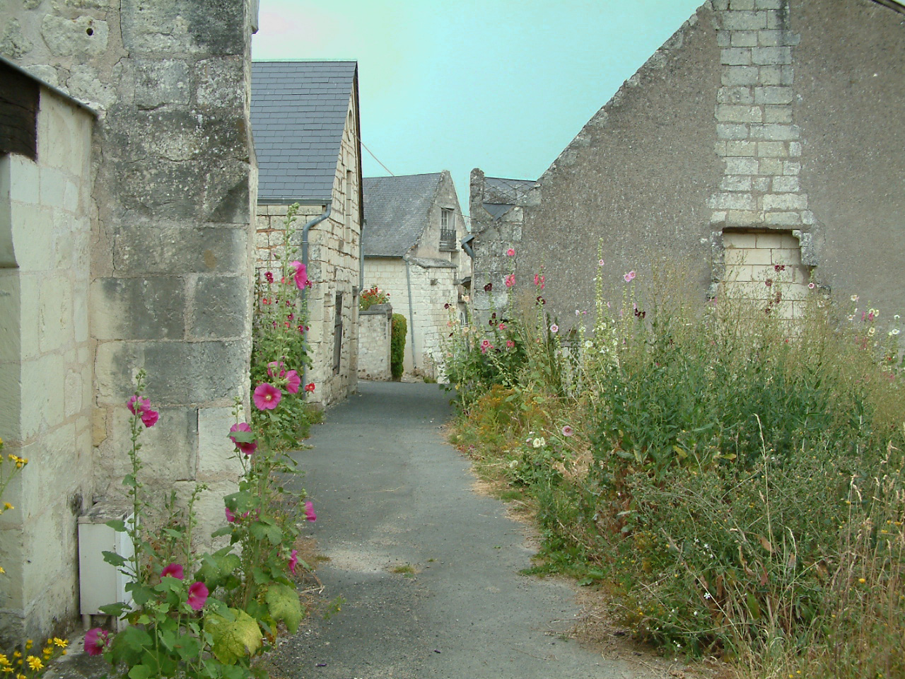 montsoreau edited 7