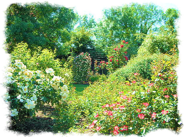 rose gdn 2 rose gdn 2